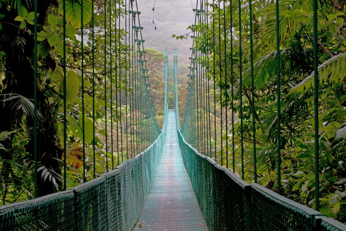 Suspension Bridge, Monteverde, Costa Rica