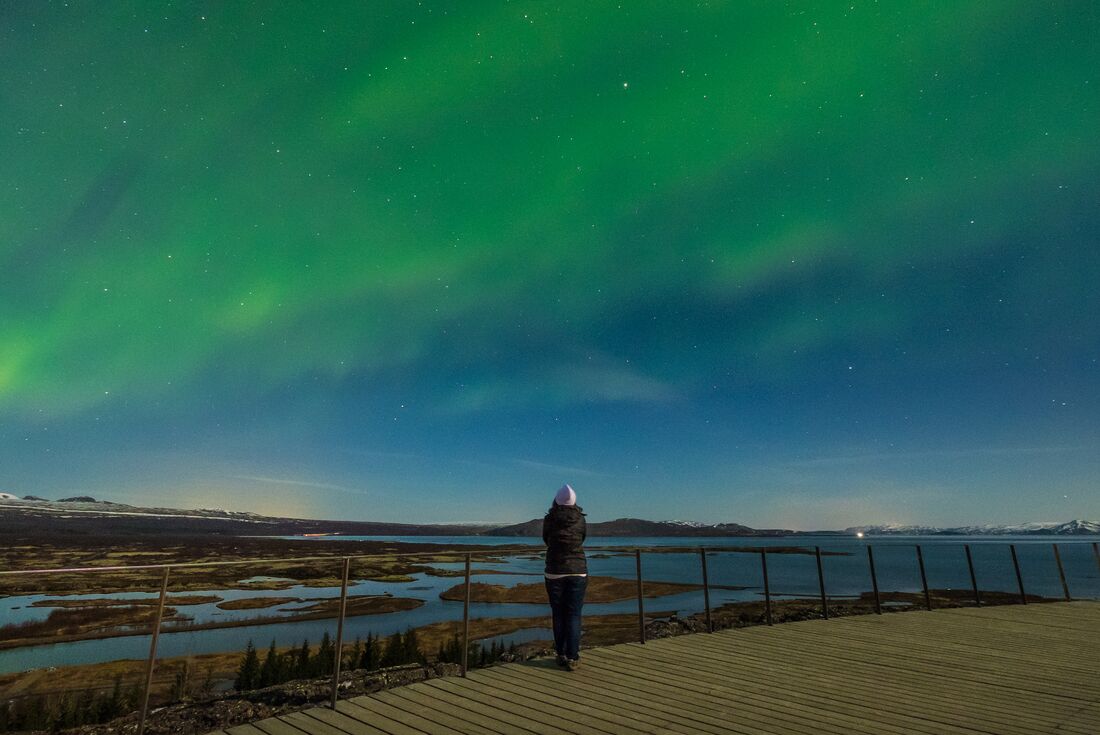 Travellers stands at a railing watching the Northern Lights in Thingvellir NP