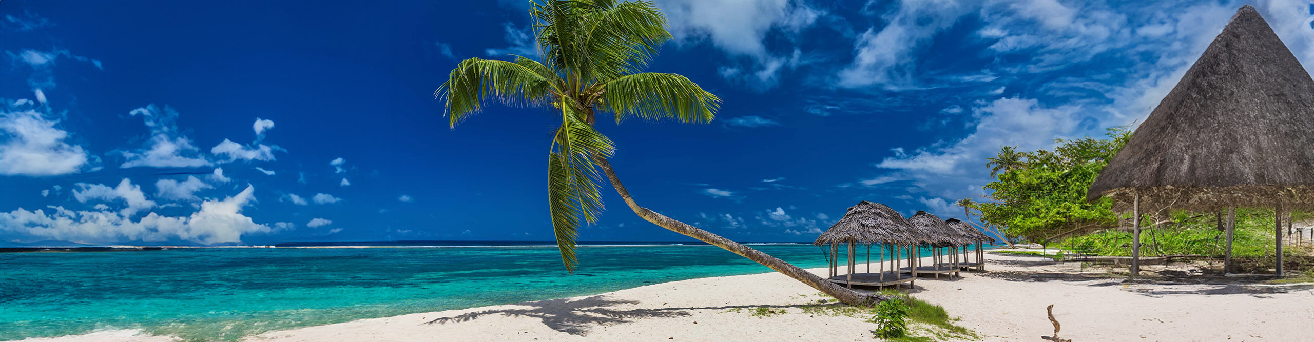 A beautiful beach with palm tree, white sand and clear blue water, Samoa