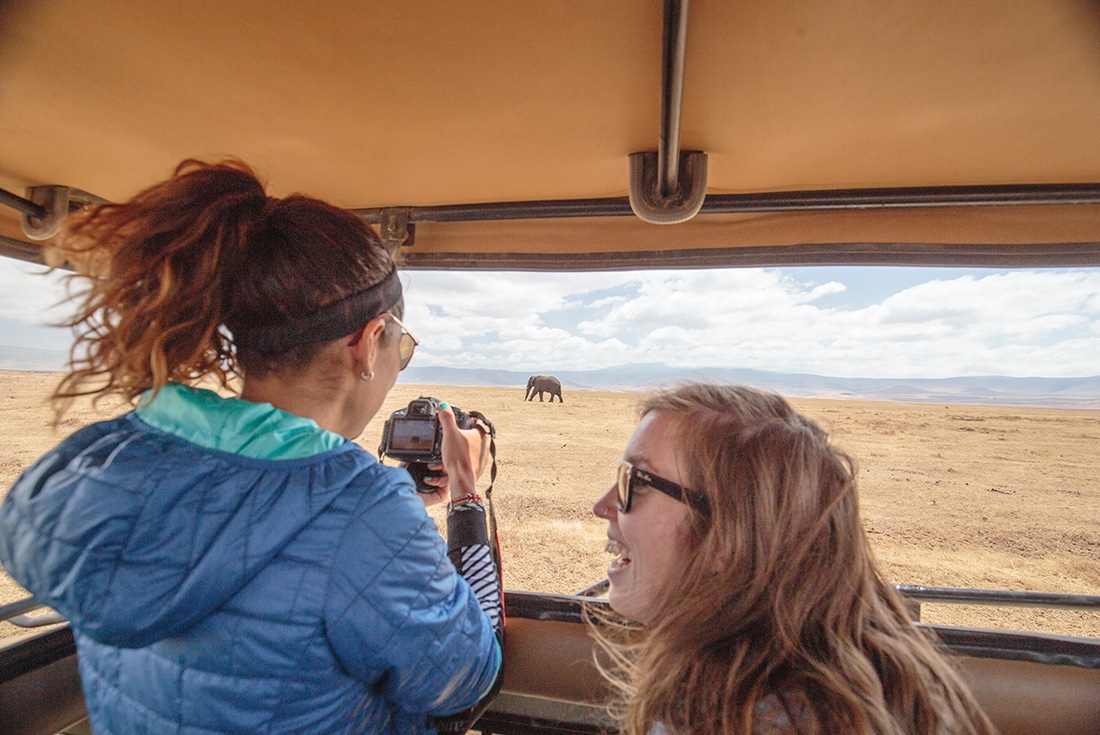 Travellers taking pictures through the jeep viewing roof of an elephant in Ngorongoro National Park, Tanzania on an Intrepid Travel tour