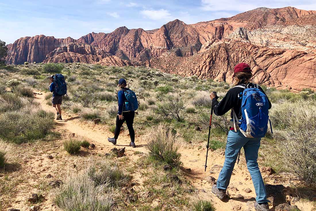 Group of hikers enjoying Zion NP, Utah, USA 