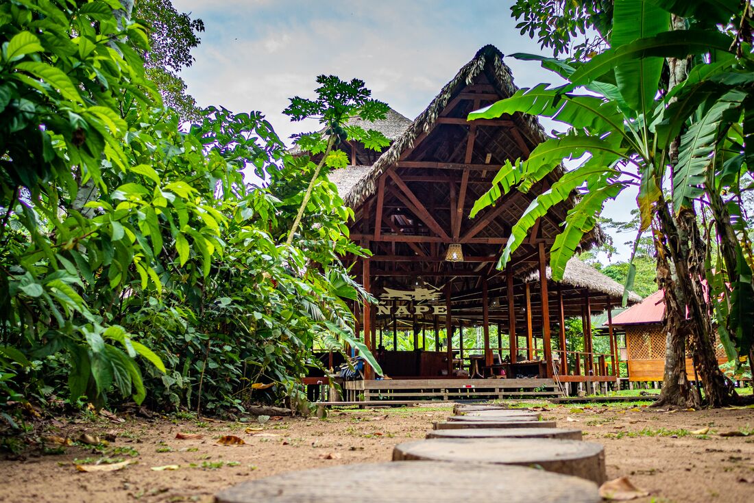 Nape Lodge in the Amazon Jungle