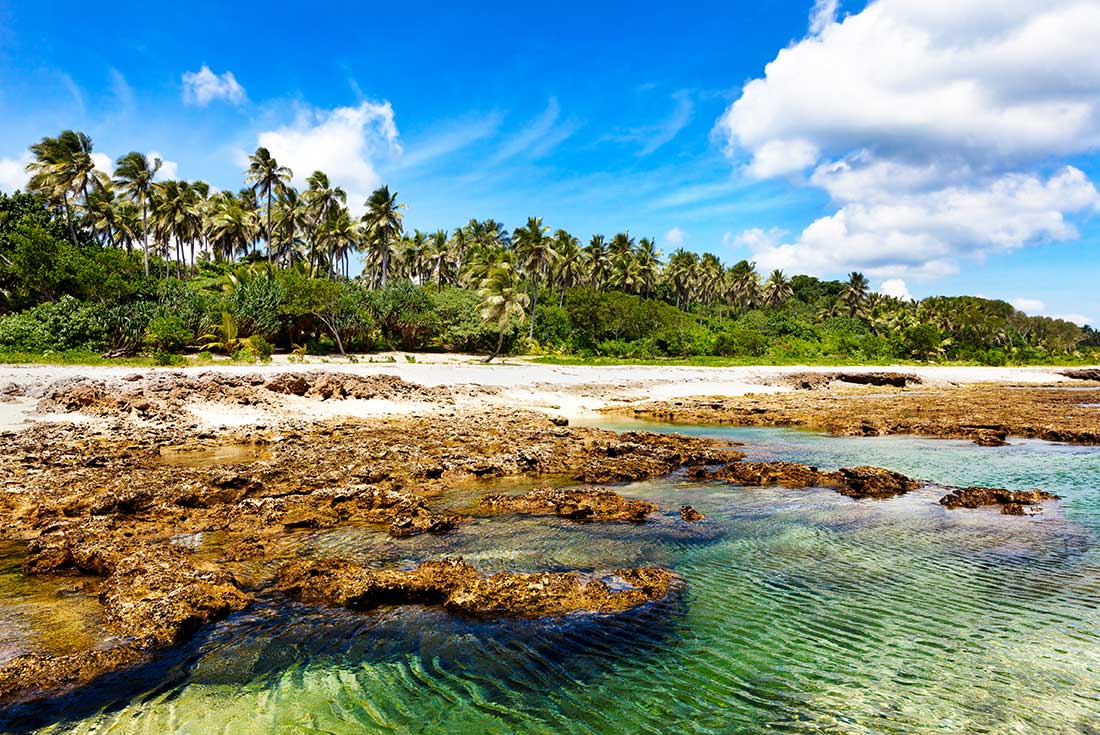 A wide shot of hardened lava covering a sandy beach shoreline, with palm trees swaying in the background