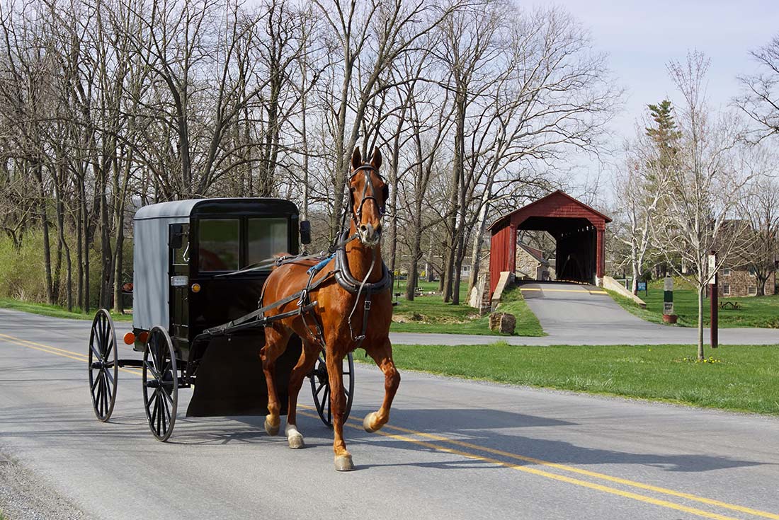 An Amish horse and carriage in Lancaster County, Pennsylvania, USA