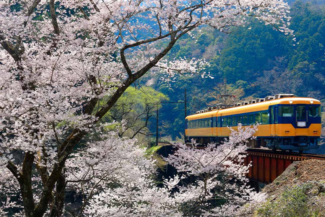 A local train traveling on near Kawane Sasamado Station of Oigawa Railway, Japan