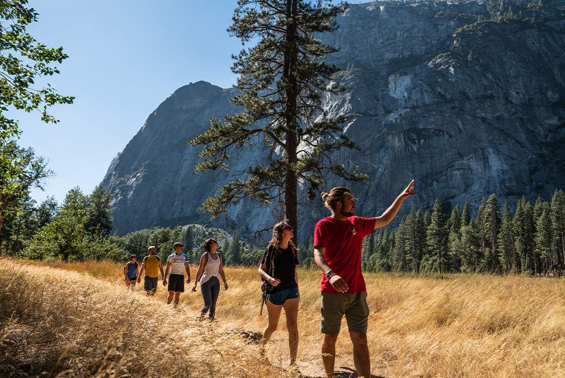 Group of travellers hiking in Yosemite, USA