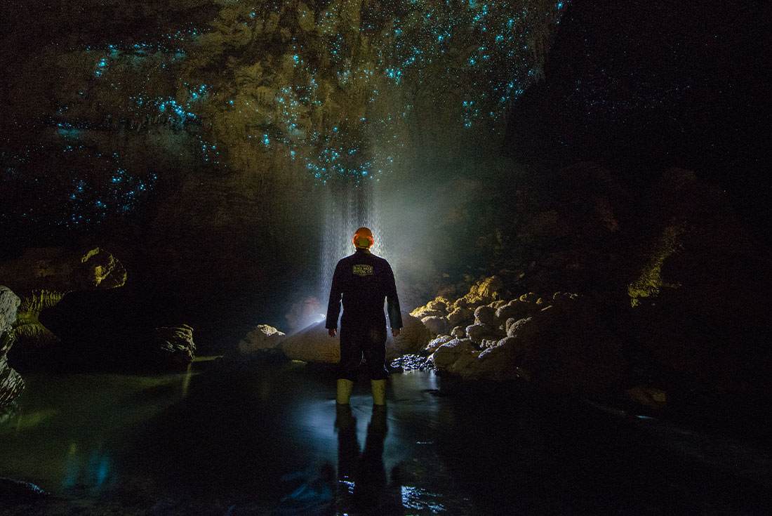 Traveller standing among glowworms in Ruakuri Cave, North Island, NZ