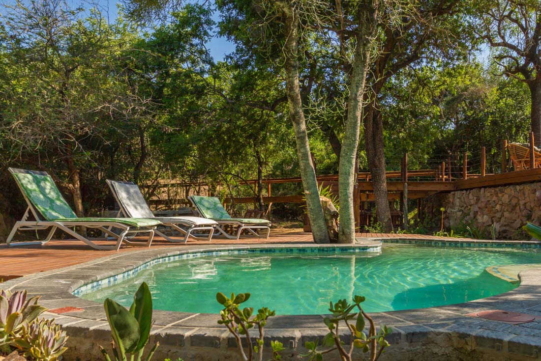 The Panzi Lodge pool with deckchairs and surrounding greenery and trees near Kurger National Park in South Africa