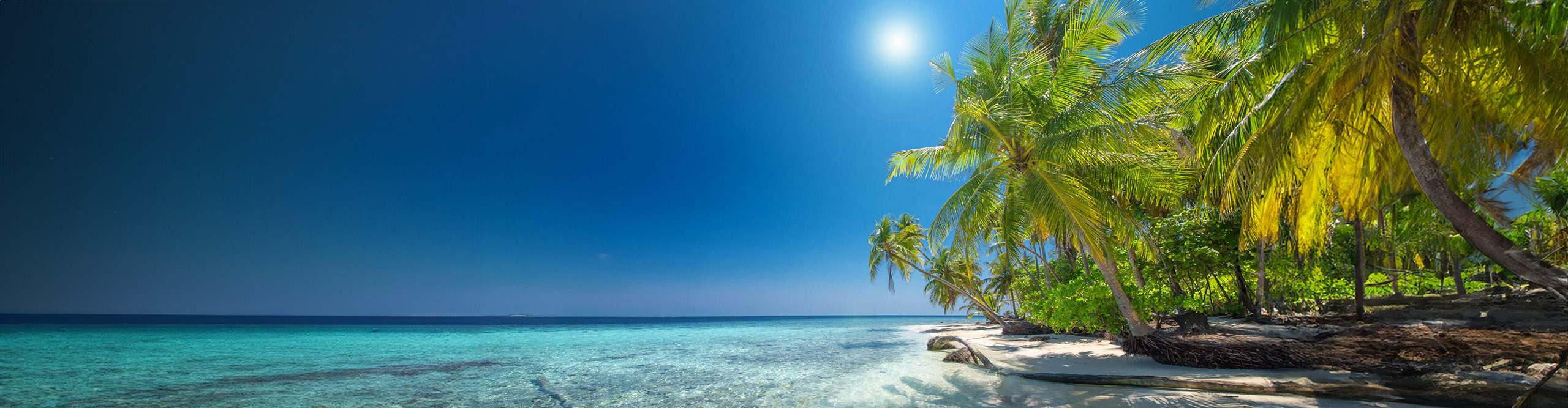 Palm trees on a beautiful tropical beach in Samoa 