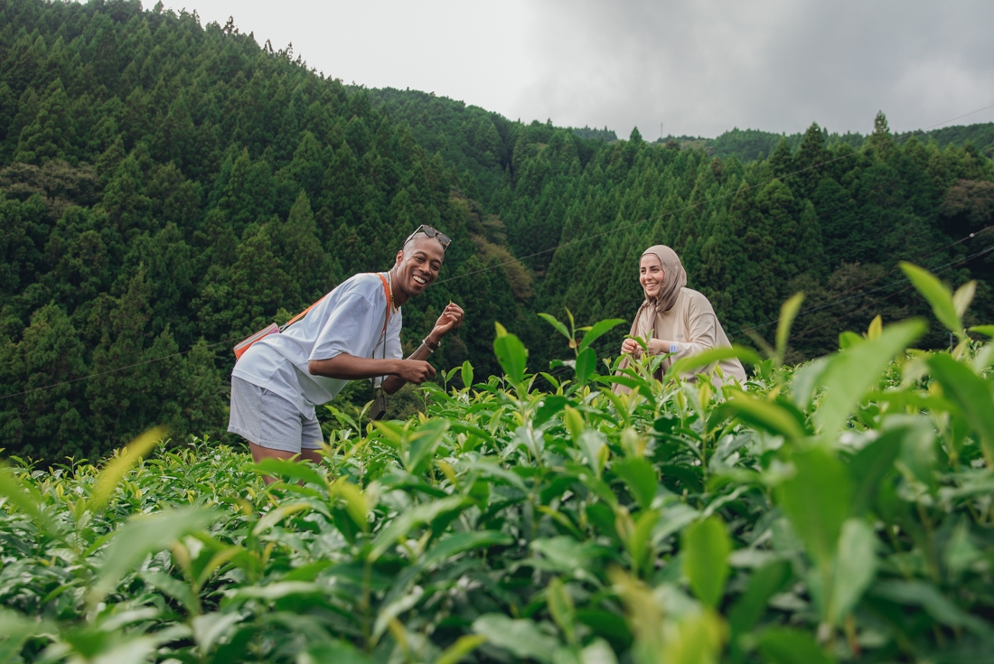 Intrepid travellers pick their own tea on a tea farm visit in Kawane