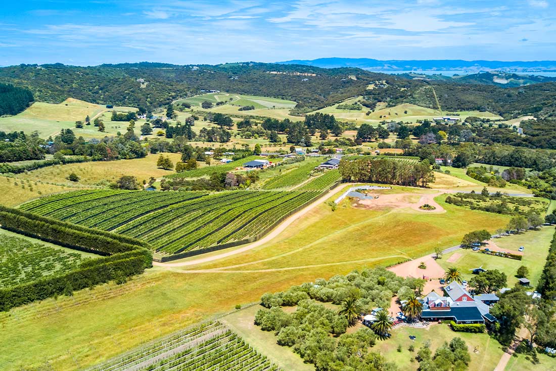 Aerial view of Waiheke Island vineyards, North Island, NZ