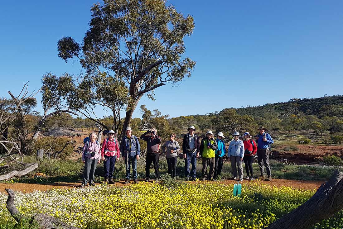Group of hikers at Coalseam NP, Western Australia
