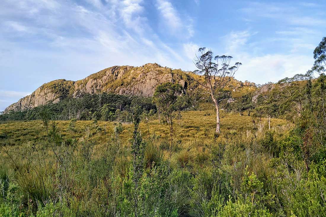 The Mount Farrell summit along the Tarkine Rainforest walk, Tasmania, Australia