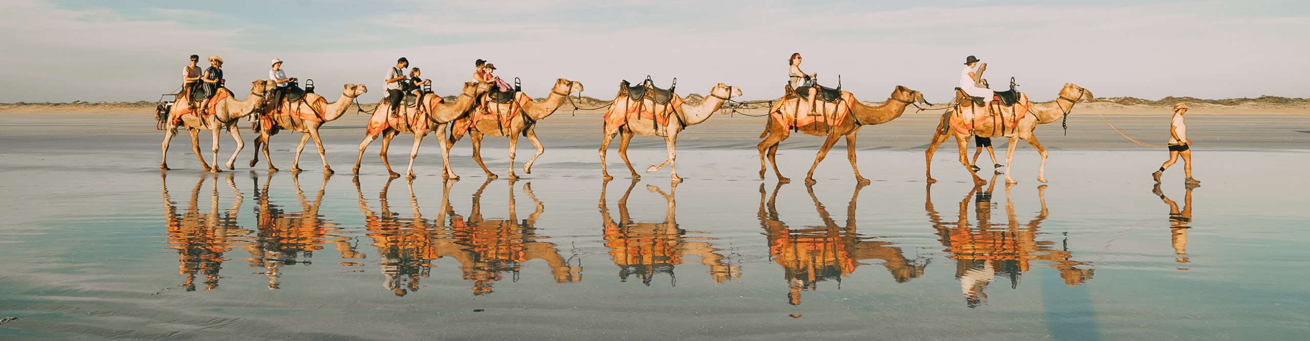 Group on camels reflected in the wet sand riding across the beach in Broome, Western Australia