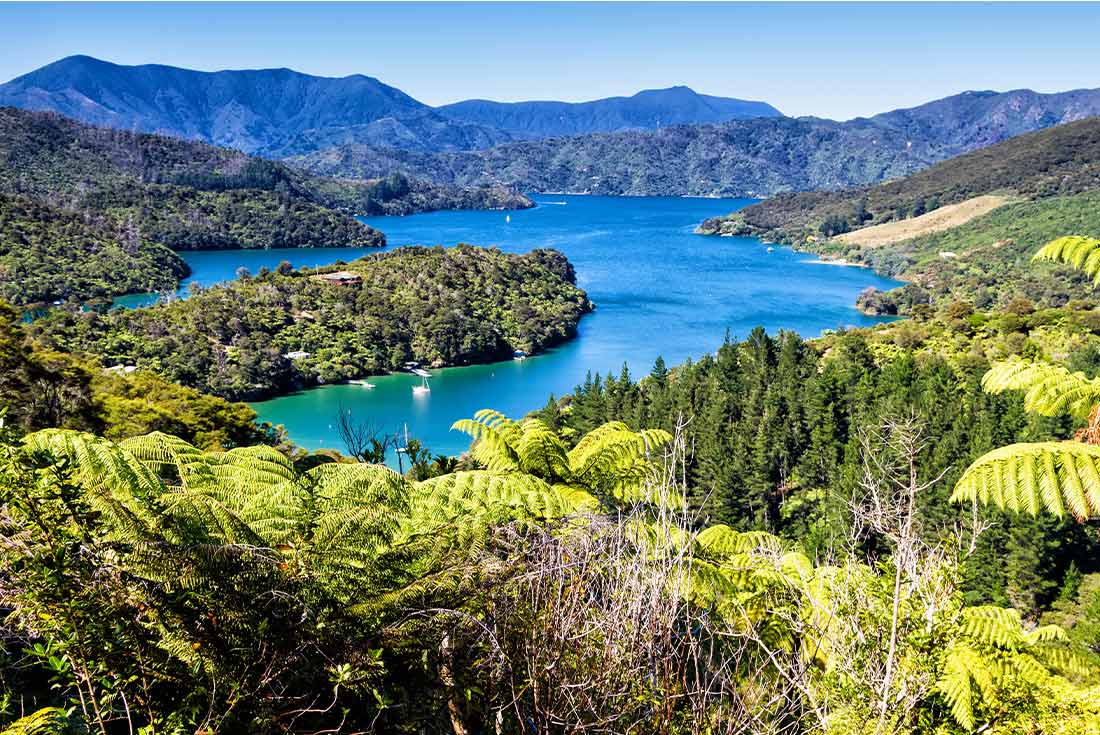 View of bays off the Queen Charlotte Track, South Island, New Zealand