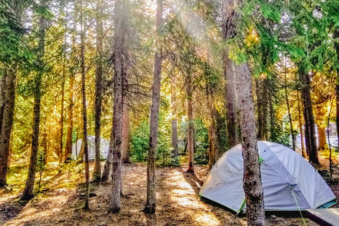 Tents in the woods in Yellowstone NP, Wyoming, USA