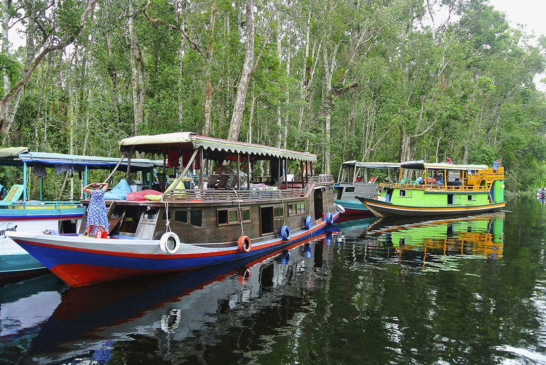 klotok-boat_indonesia