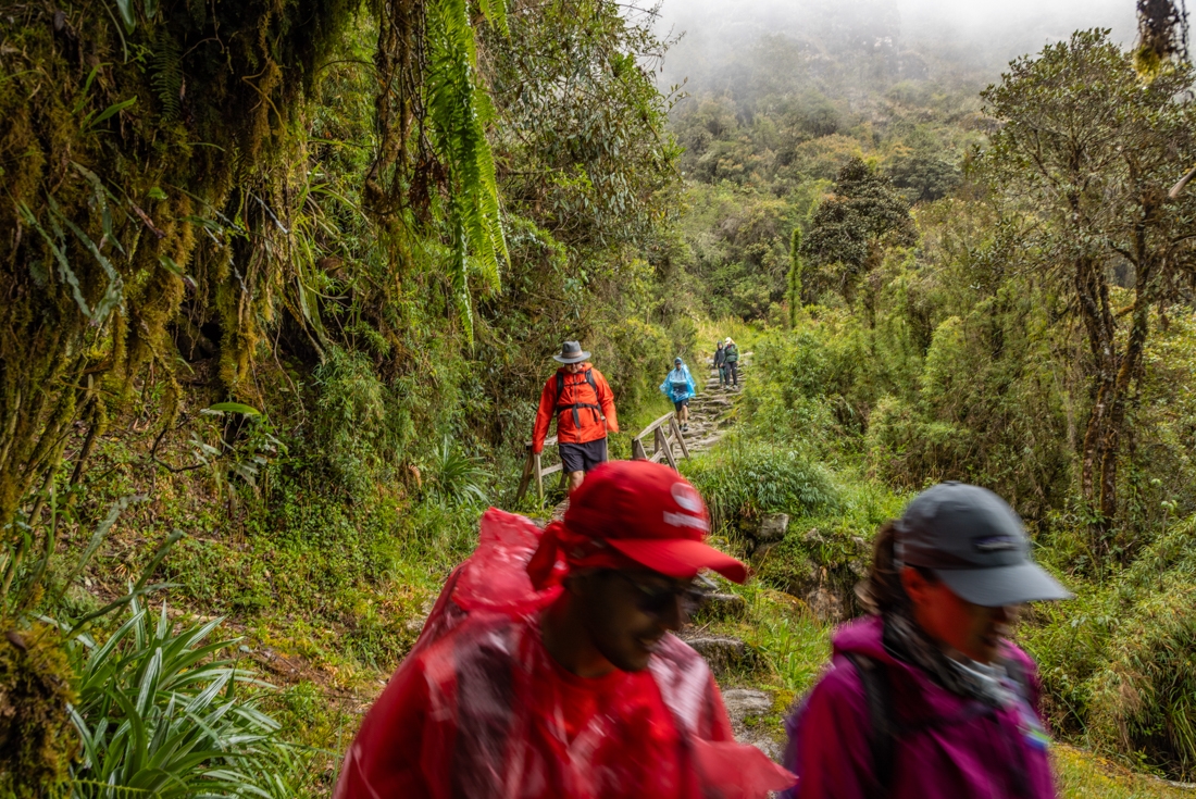 Intrepid travellers and leaders hiking along the Inca Trail in Peru