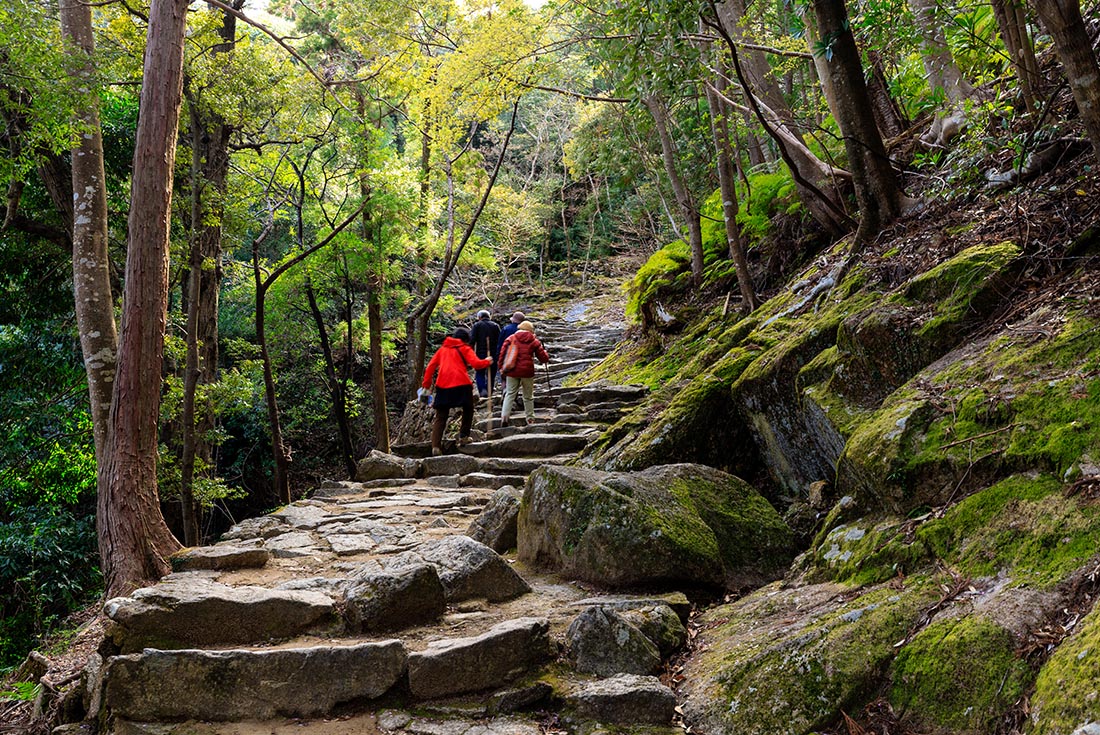 Hiking the pilgrimage track at Kumano Kodo