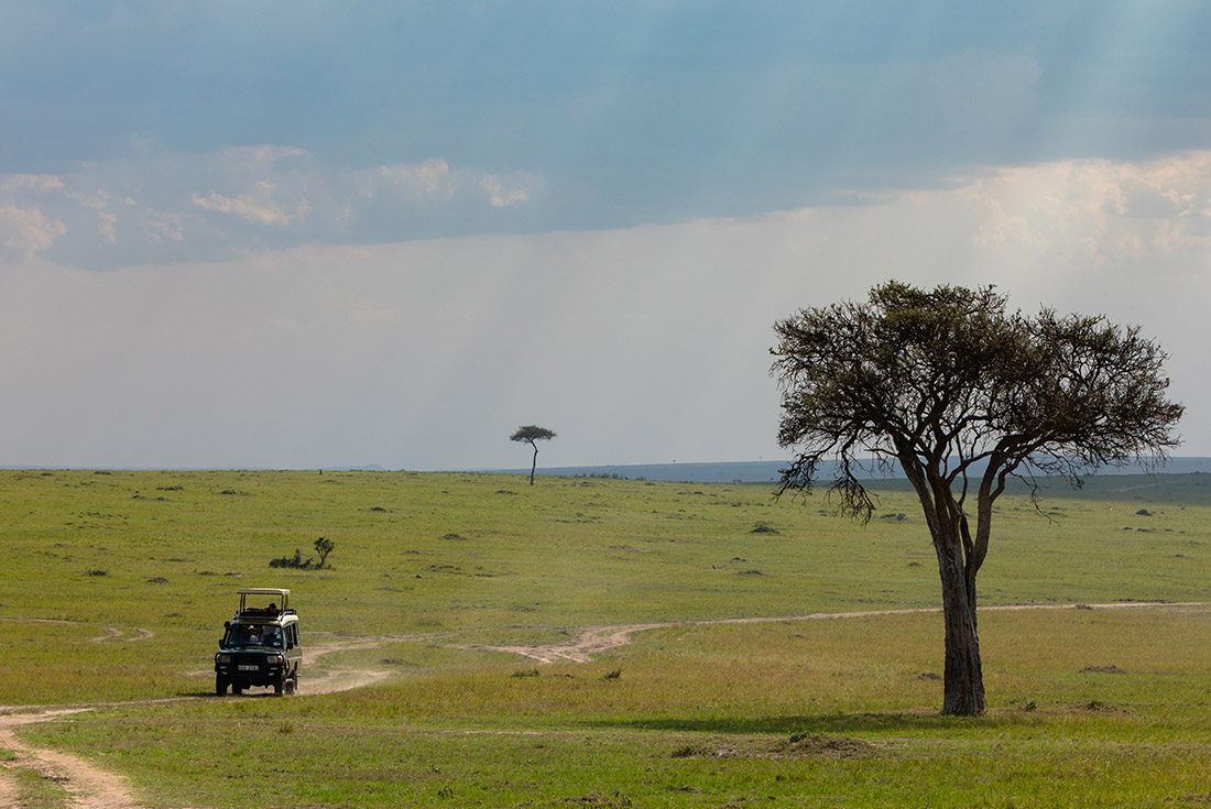 YGPK - Safari vehicle on a 4x4 game drive in Masai Mara