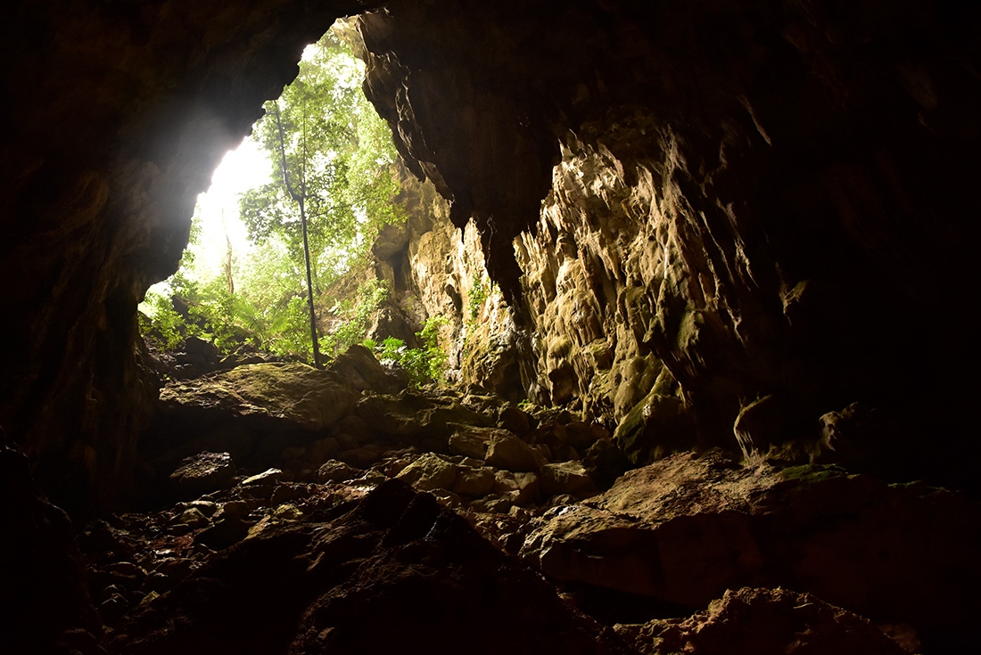 Travellers descending into a cave in Phong Nha, Vietnam on an Intrepid Travel tour.