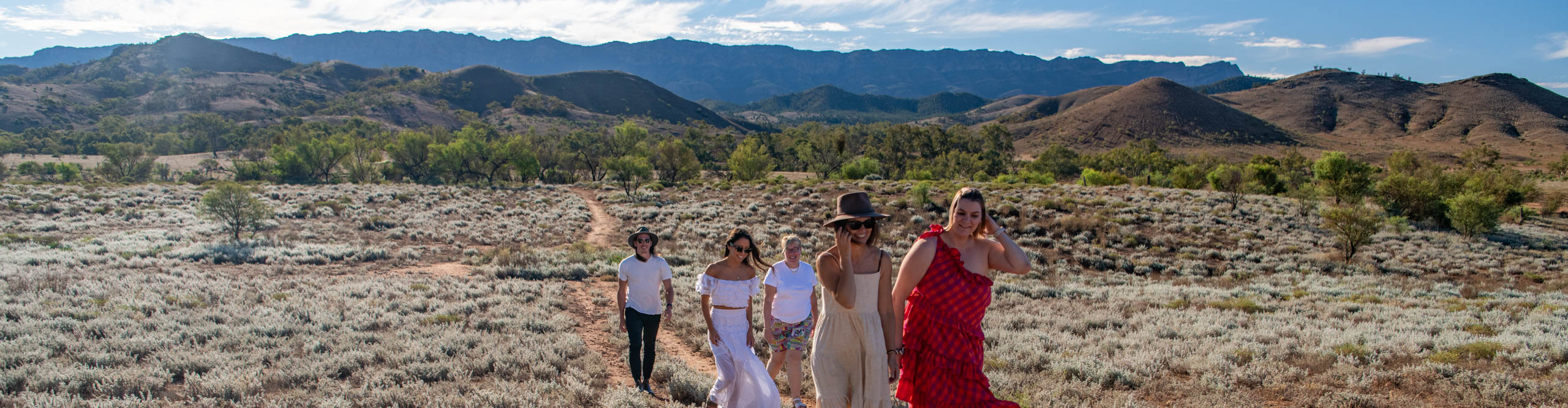 Group walking through the bush with the Flinders Ranges in the background, South Australia 