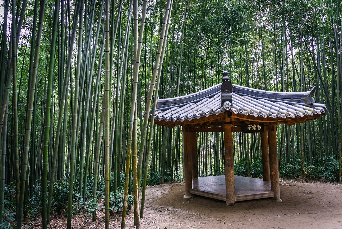 A gazebo in Damyang Bamboo Forest