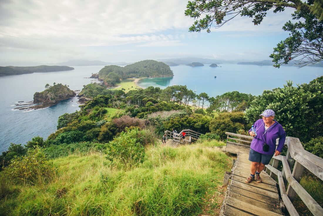 Intrepid travellers hiking in the Bay of Islands on the North island of New Zealand