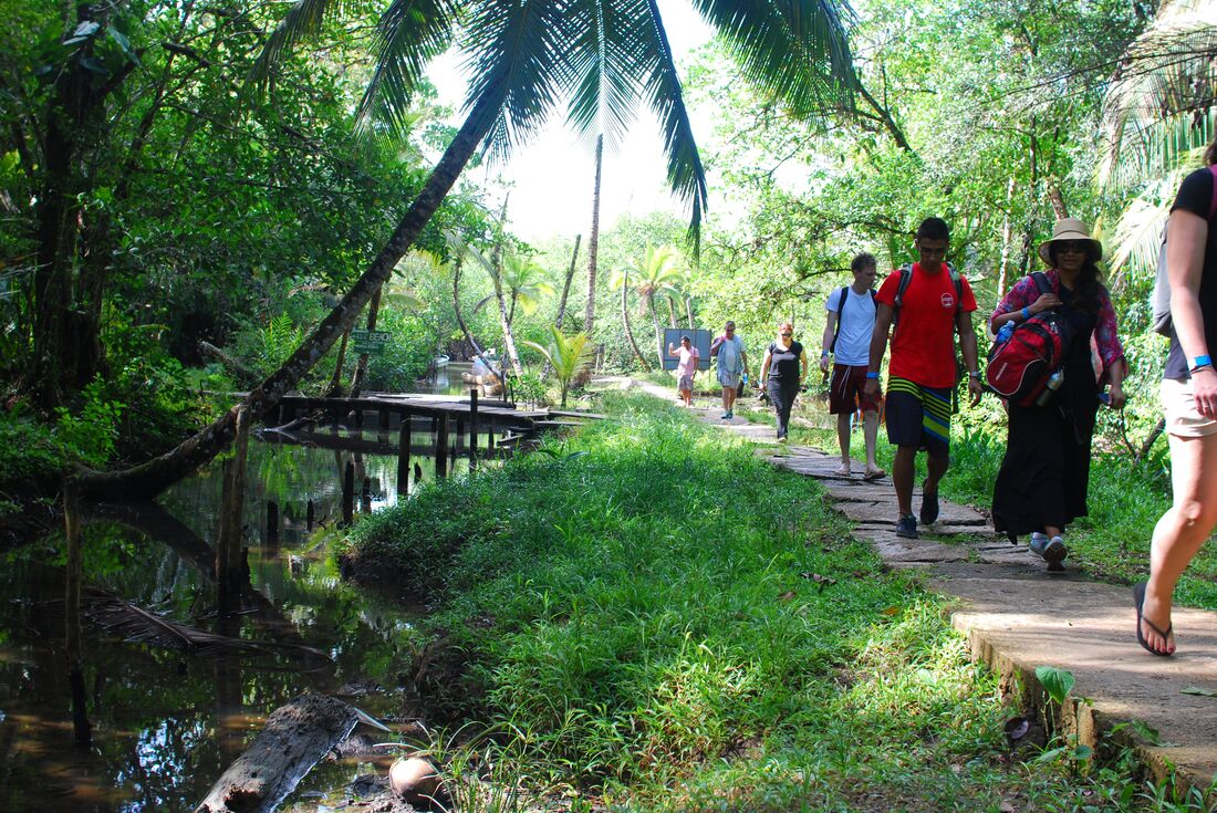 Jungle walk in Bocas del Toro
