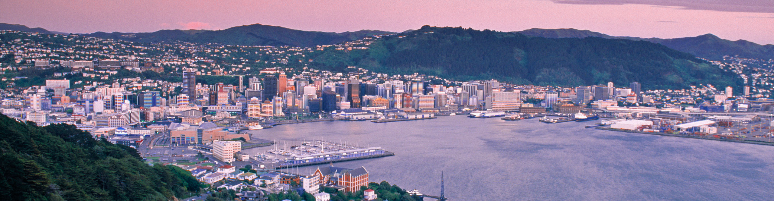 View of Wellington harbour during a pink sunset in New Zealand 