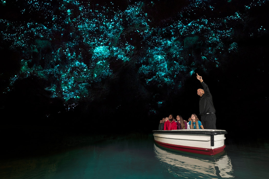 Glowworms of Waitomo Caves, North Island, New Zealand