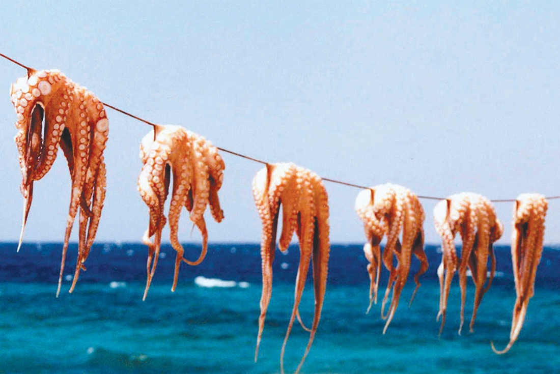 greece mykonos dinner seafood squid fresh