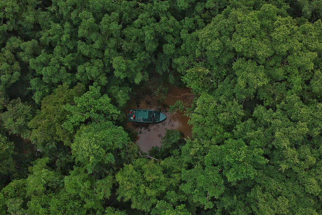 TMPB - Borneo Feature Stay: Kingabangtan Wetlands Resort aerial view of boat surrounded by trees