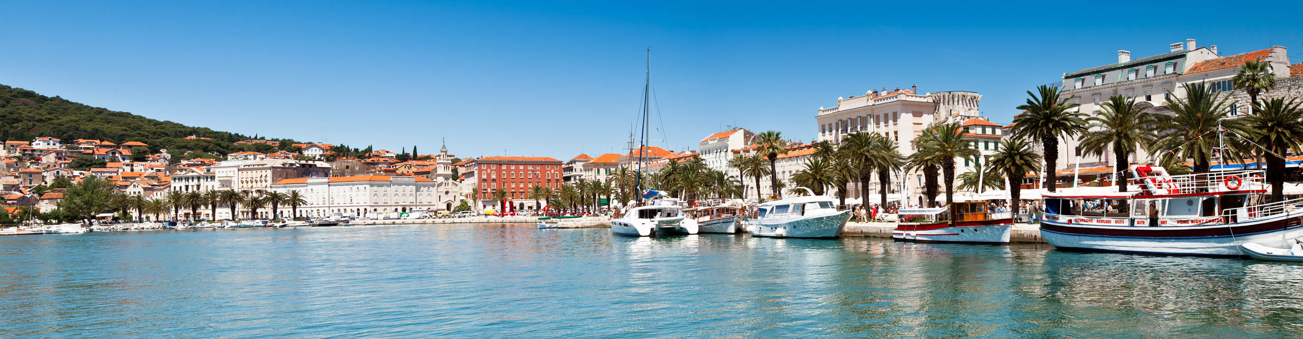 View of Spit harbour with palm trees on the promenade and a clear blue sky on a sunny day, Croatia
