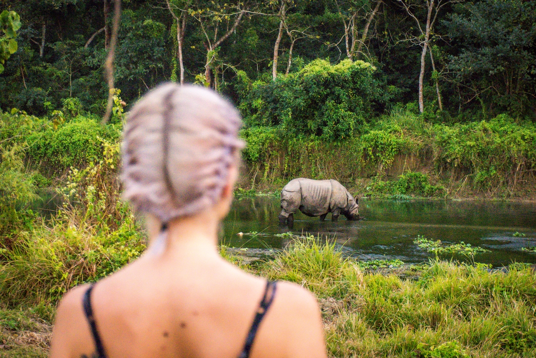 nepal chitwan np traveller looking at rhino