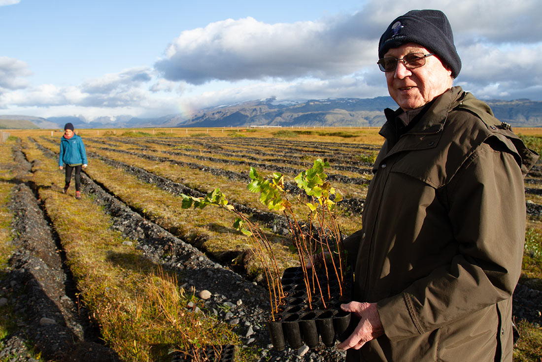 Intrepid travellers planting trees in Hvolsvollur Valley, Iceland