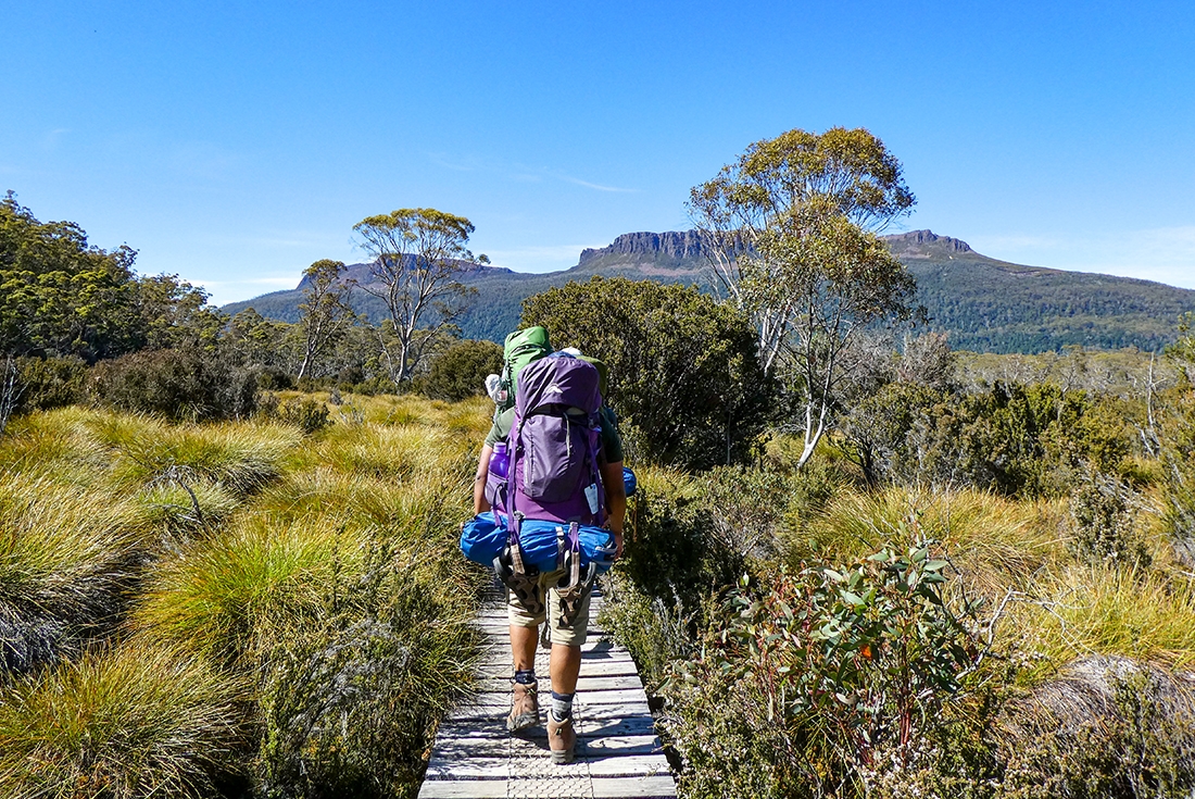 Passenger walking a trail in beautiful landscape in Cradle Mountain, Tasmania