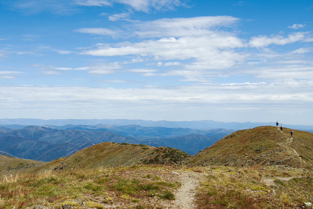 Track along ridge of Mt Feathertop, Victoria, Australia, in summer