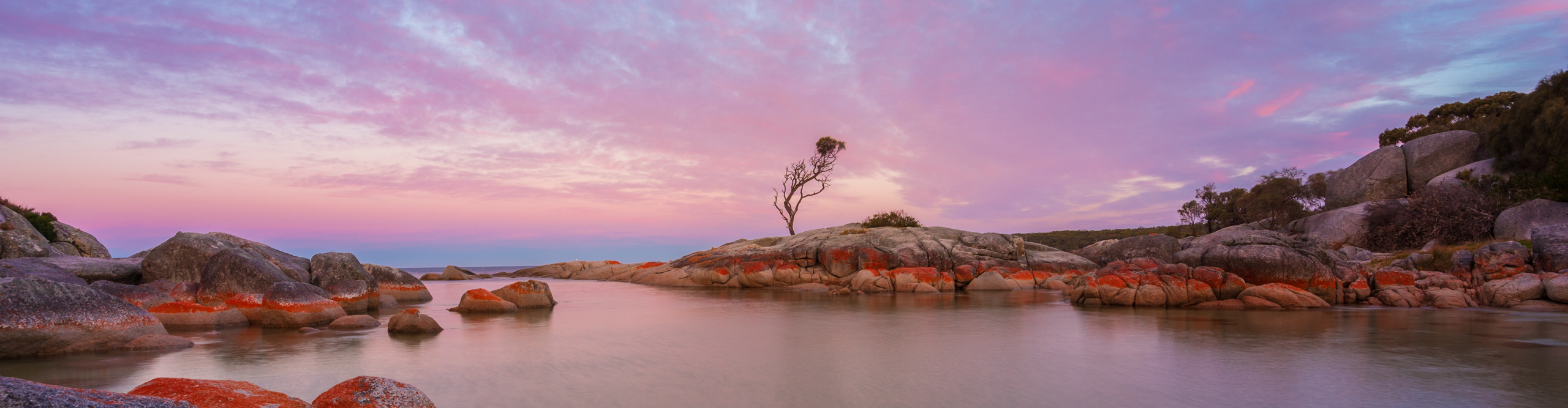 Bay of Fires at sunset, with a pink and blue sky, and calm water, Tasmania, Australia