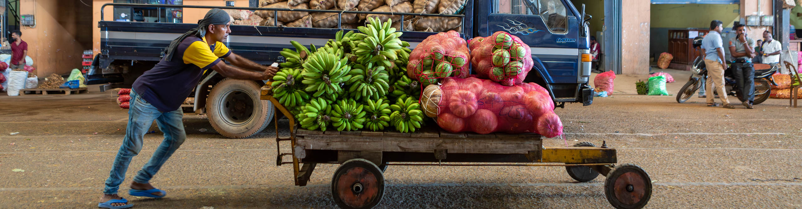 Man pushing large trolley covered in fruit through the markets in Colombo, Sri Lanka