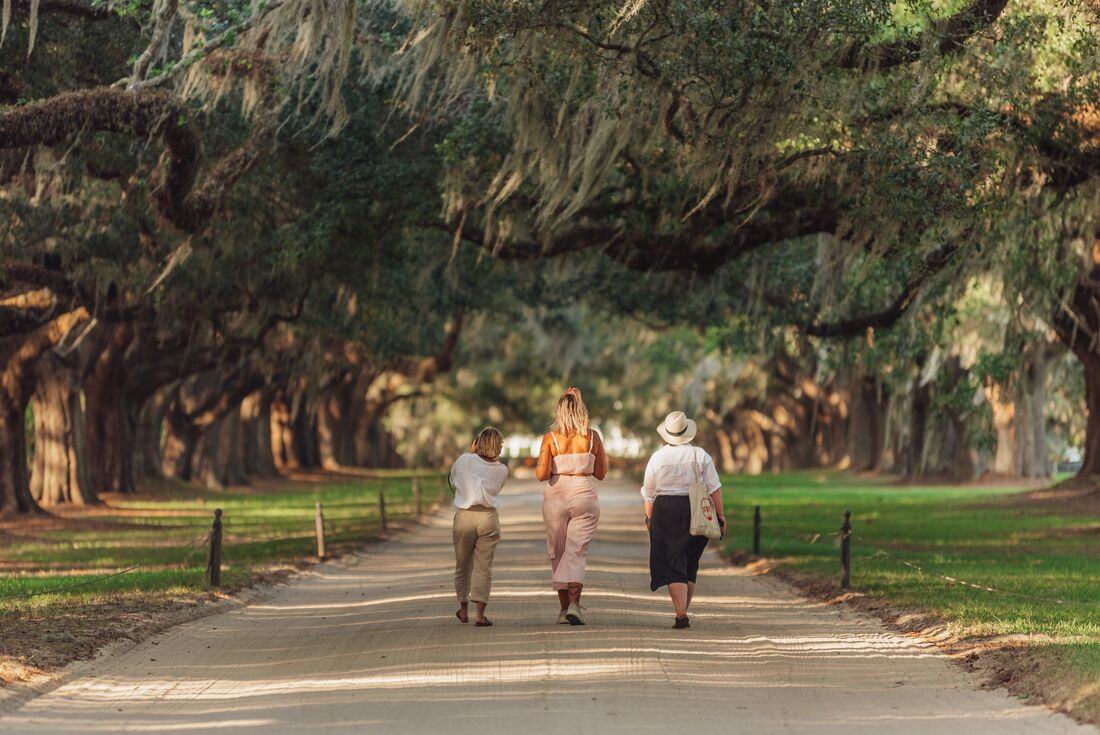 Group walking in Charleston, South Carolina among Live Oak trees