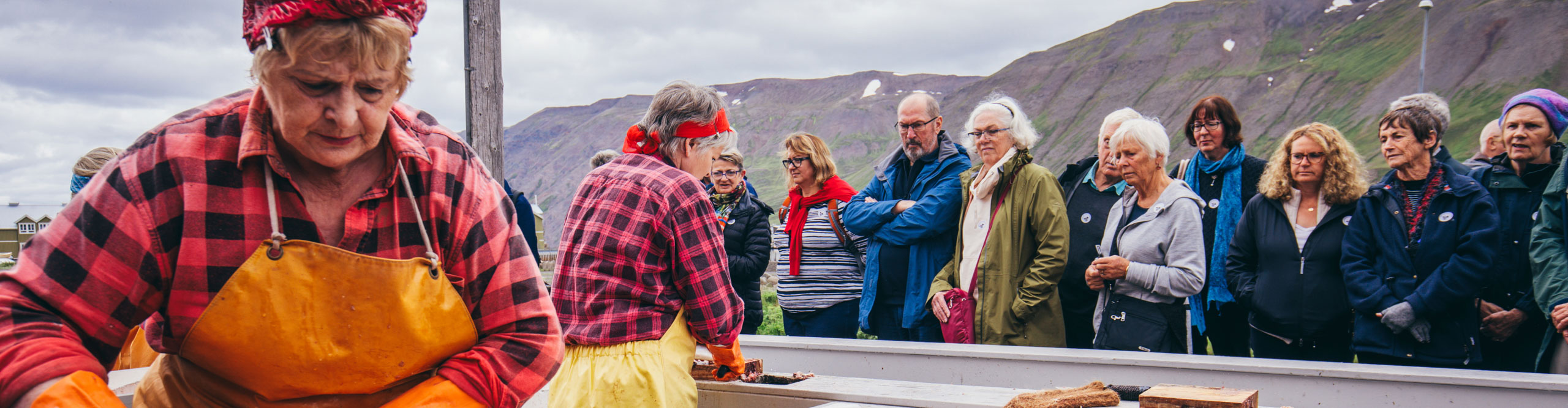 Group lining up to get food at an outdoor venue, Iceland 