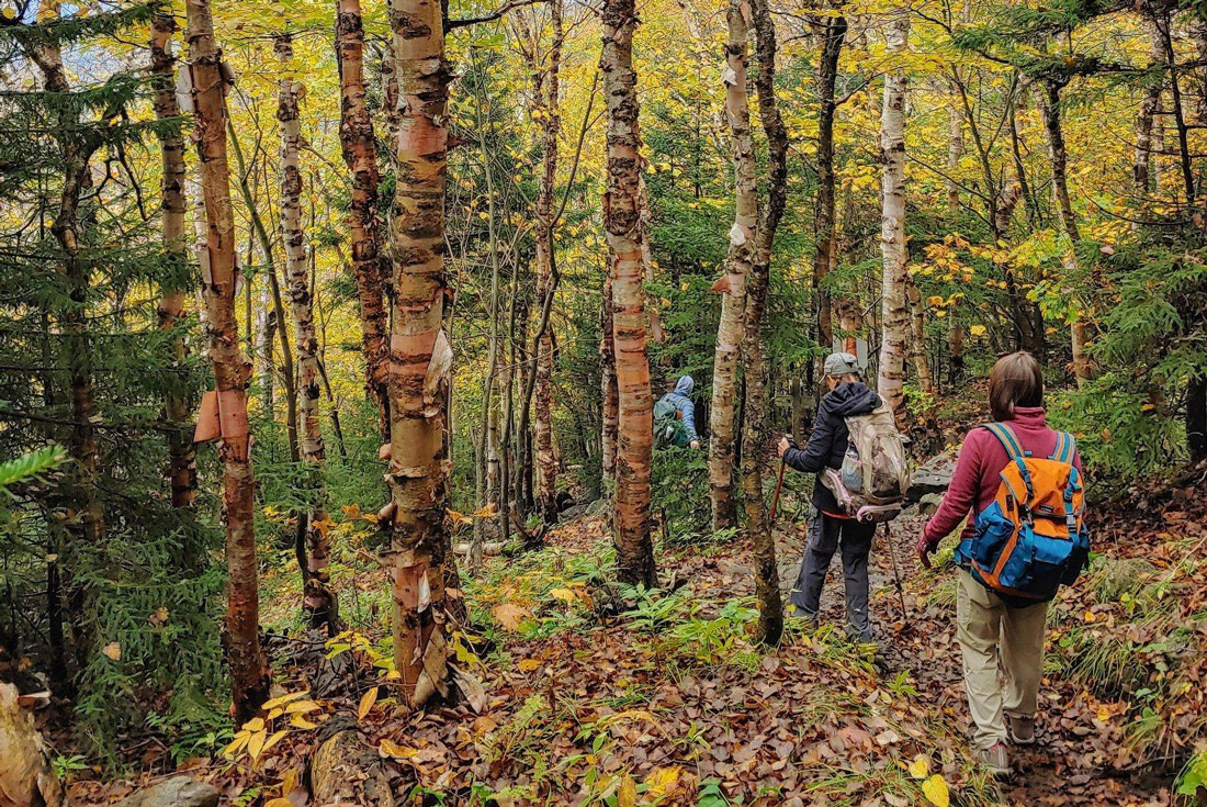 Hikers descending a hill in Burlington, Vermont, USA