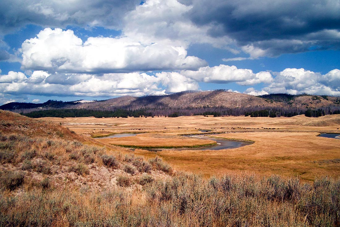Winding river through the fields in Yellowstone NP, Wyoming, USA