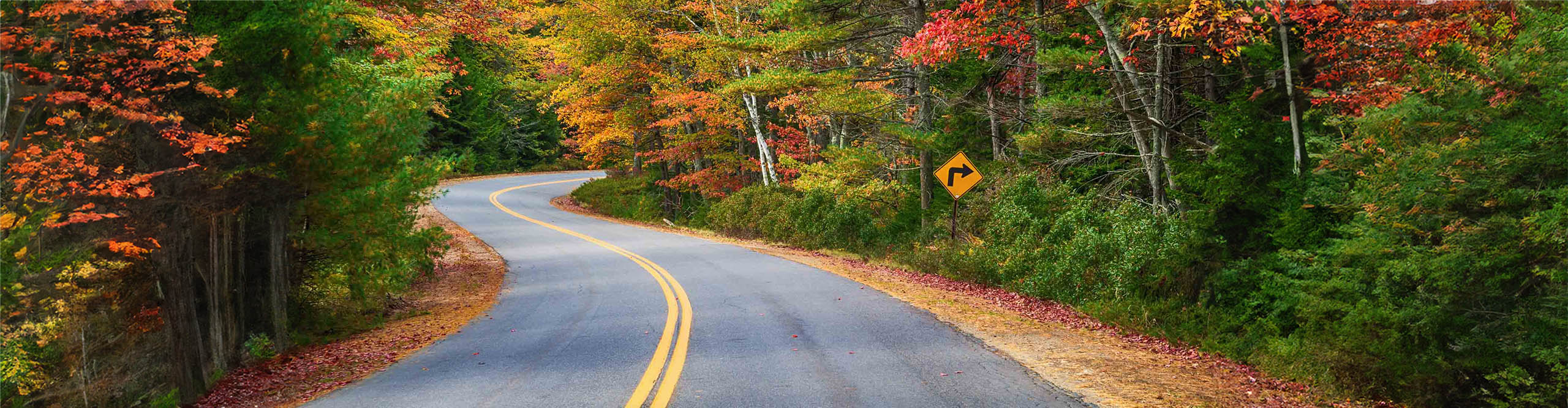 Road winding through the forest filled with autumn colours, Maine, USA