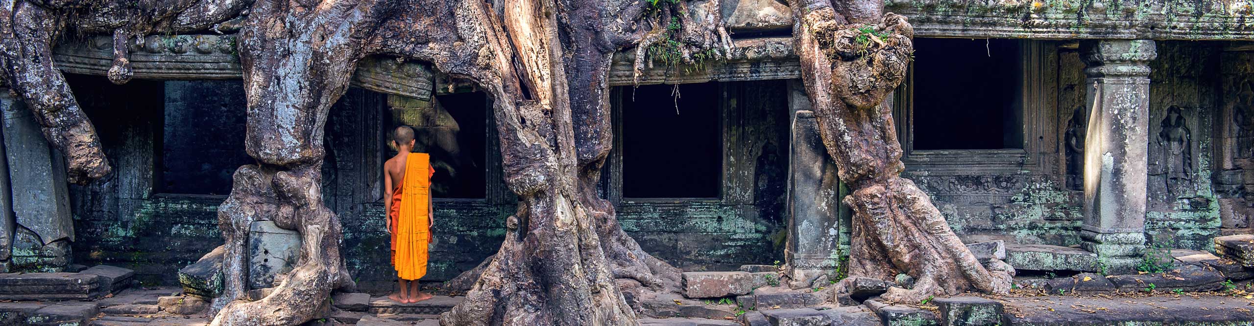 The monks and trees growing out of Ta Prohm temple, Angkor Wat in Cambodia 