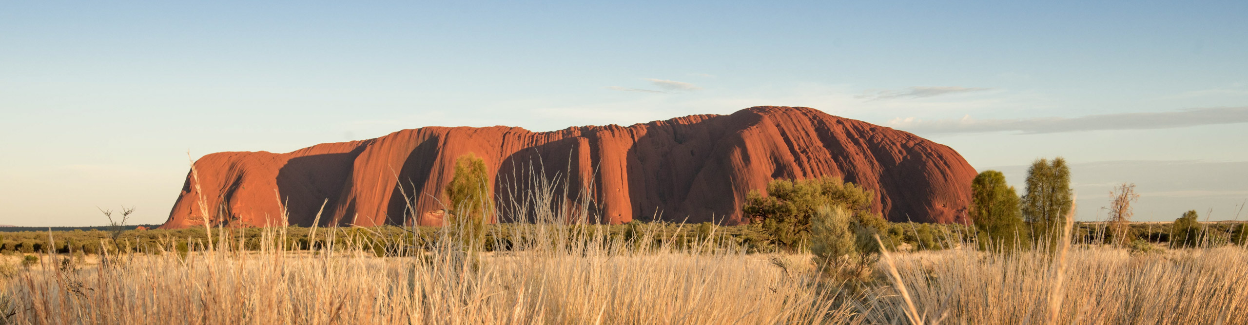 Uluru glowing red at sunset on a clear day in the Northern Territory, Australia 