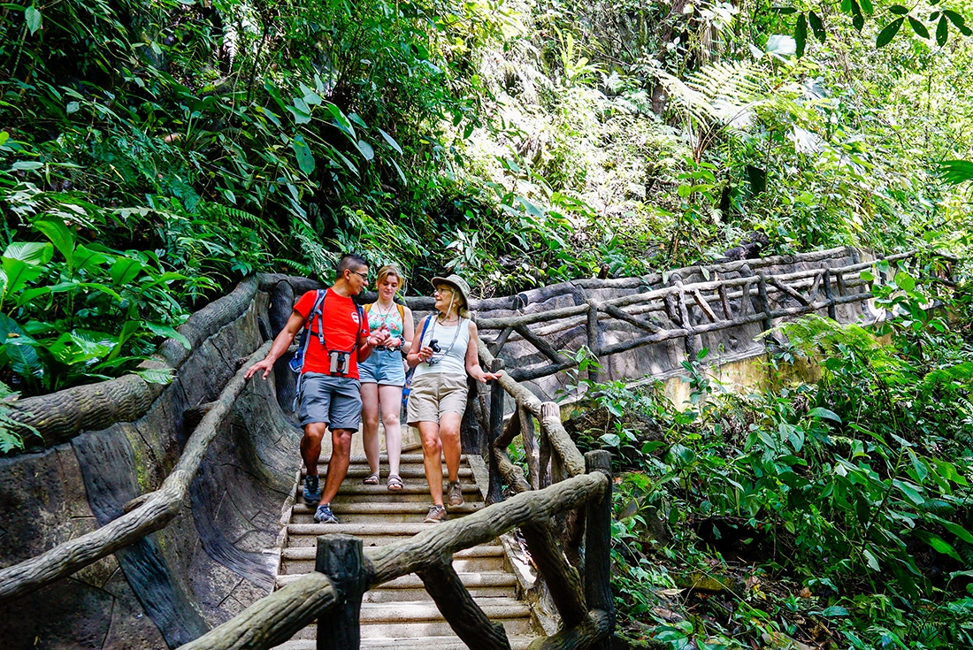 Travellers and Leader on the way to La Fortuna waterfall