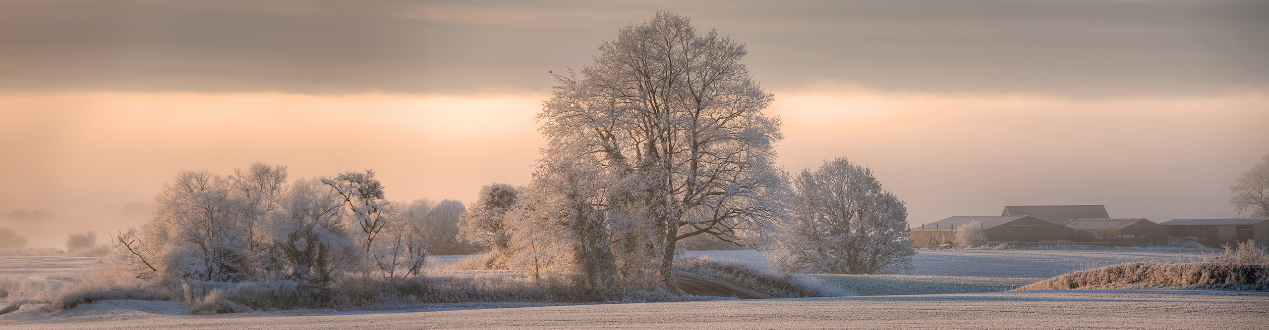 Snow in the fields and on the trees in the Cotswolds countryside, England 