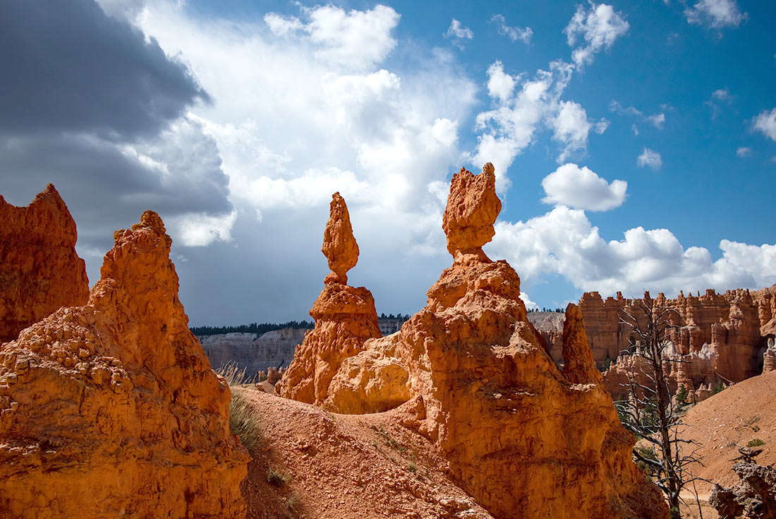 Unique formations in Bryce Canyon, Utah, USA